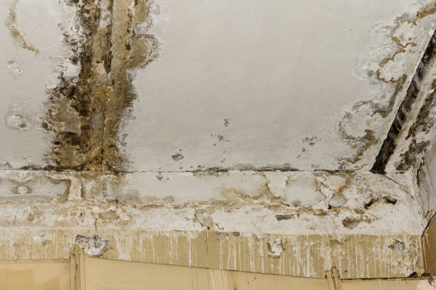 Mold Remediation for Vacation Homes in Candor, NC